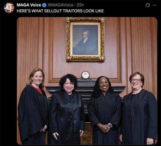 misogynistic bullies and narcissists BLAME the women justices