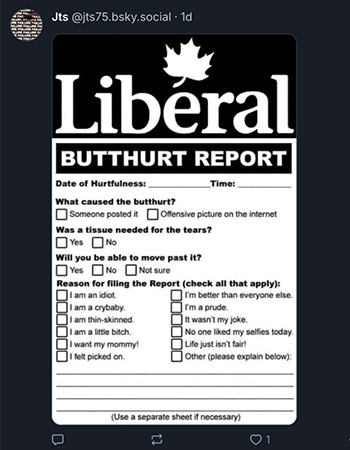 Liberal Butthurt Report form