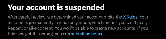 Elon Musk suspended my account in violation of First Amendment protections