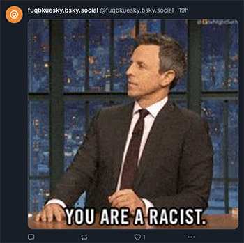 You are a racist